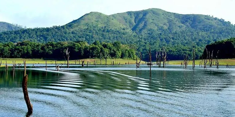 Villa Ashvis Cottage Thekkady