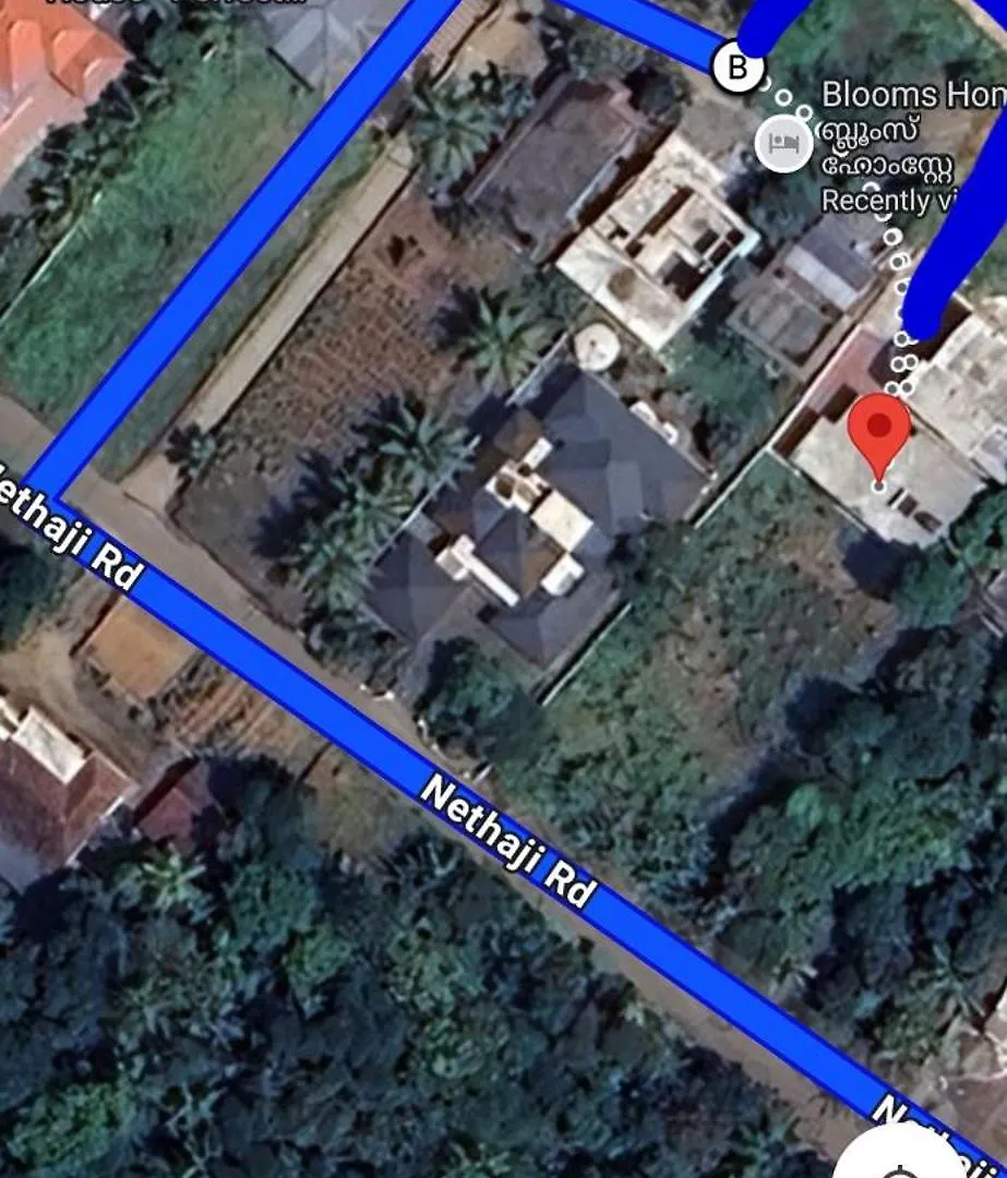 Villa Ashvis Cottage Thekkady